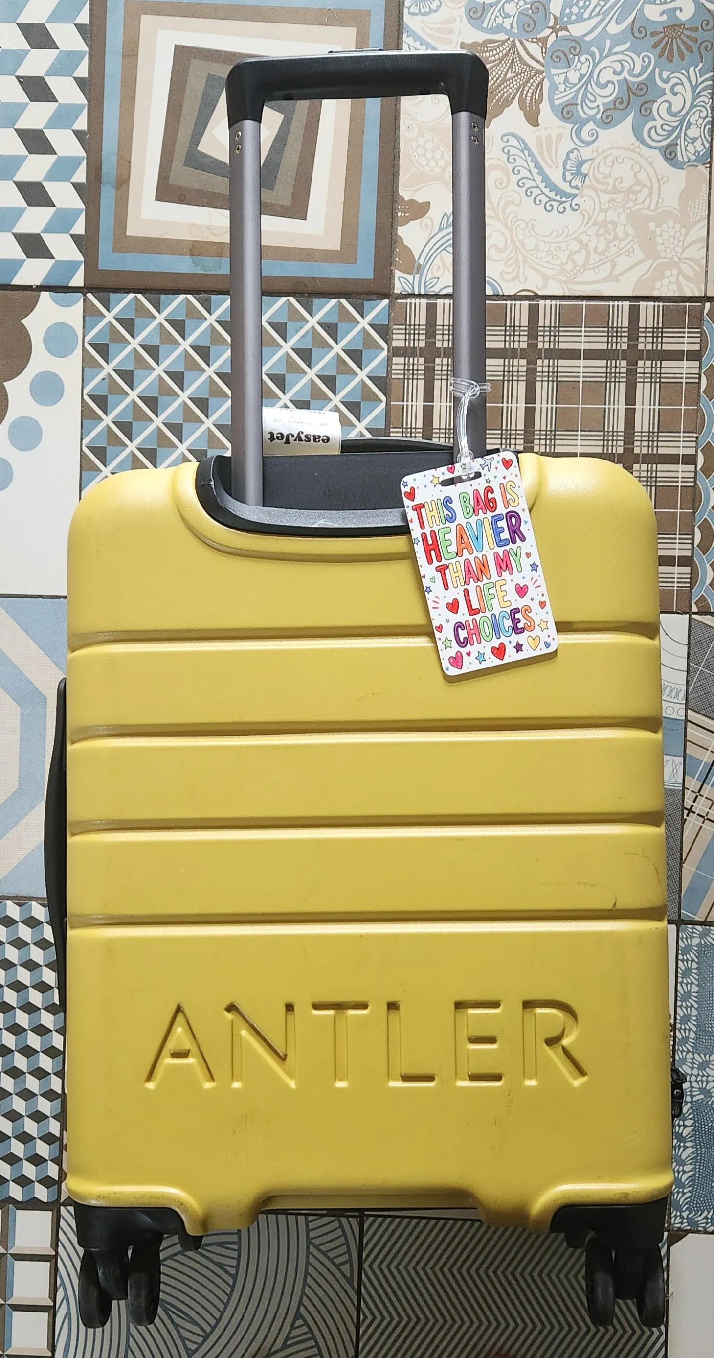 Funny Luggage Tags for Suitcases, Acrylic Baggage Tag, Travel Gift, Cute Bright Travel Accessories, Sarcastic Holiday Bag Tags