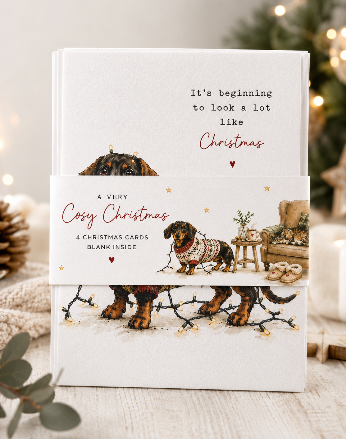 "Cosy Christmas"  Pack of 4 Cards