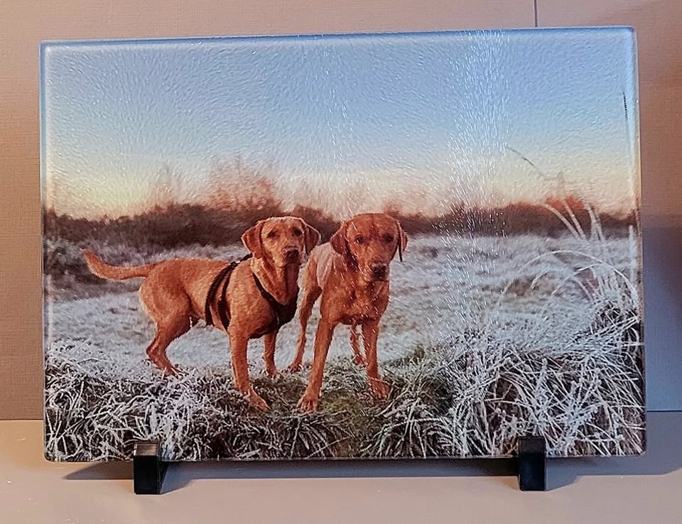 A4 Chopping Boards - Chinchilla