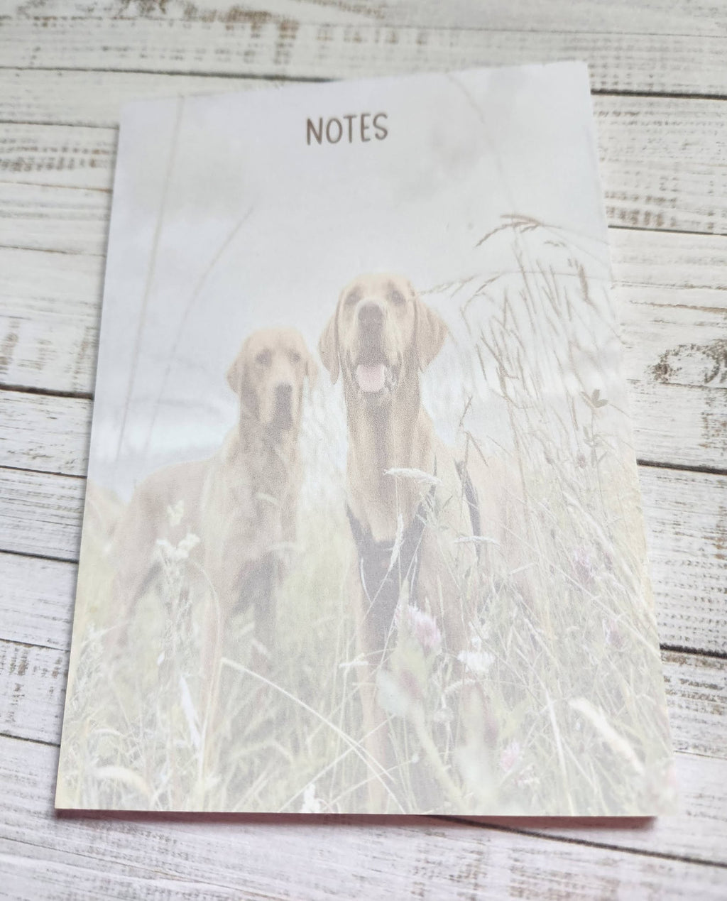 Note Book and Memo Pad