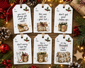 Funny Sarcastic Christmas Gift Tags x 12